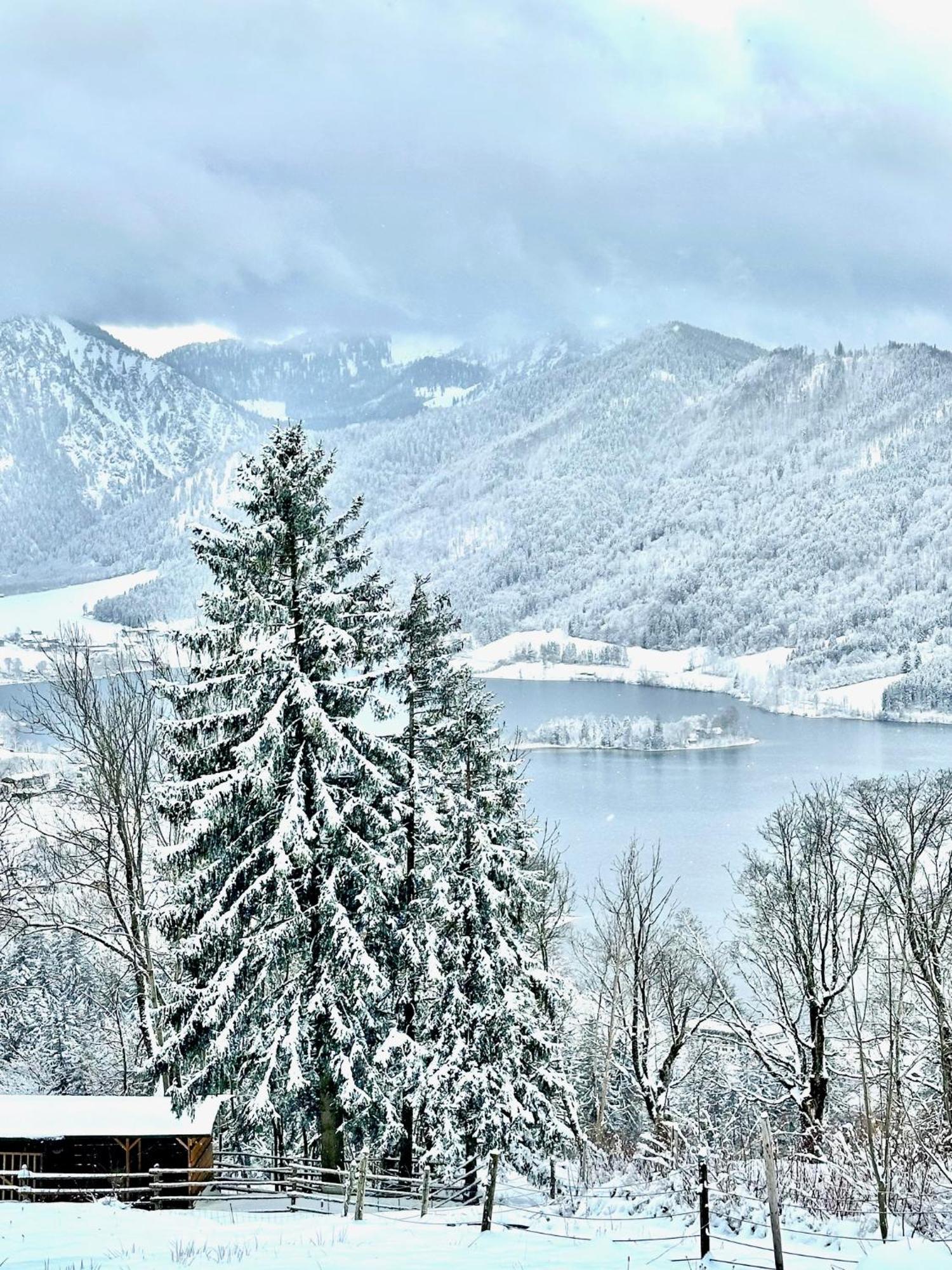 Alpenoase Schliersee - Grosse Suite Mit Sauna Oder Gemuetliche Studio Appartements Buitenkant foto